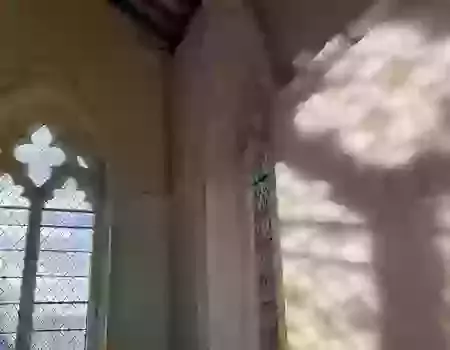 Forward Momentum Newsletter Issue 17